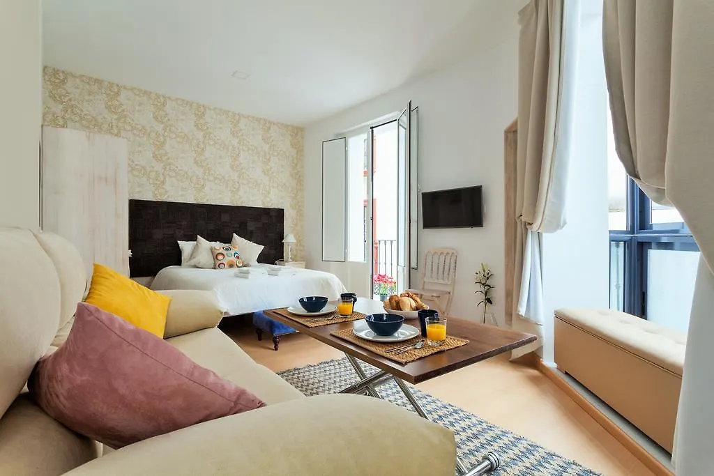 Hostly Acetres 1A Loft In City Center, Comunal Terrace, Fibre,Parking Optional Sevilha