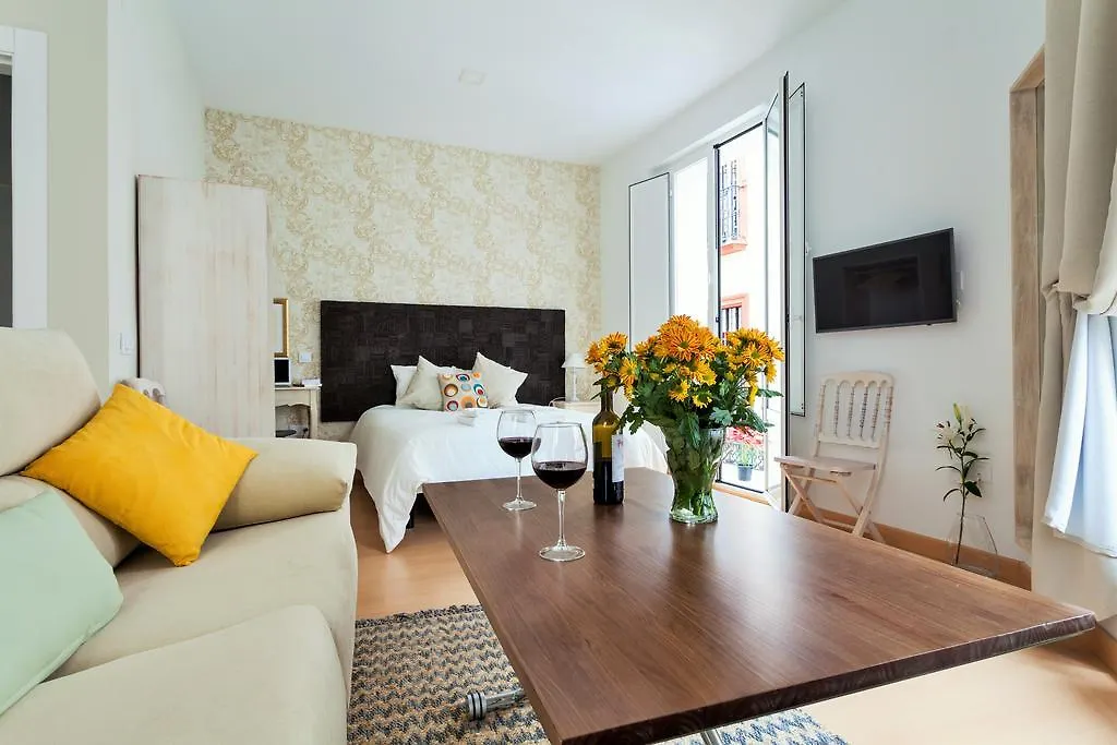 Hostly Acetres 1A Loft In City Center, Comunal Terrace, Fibre,Parking Optional Sevilha 0*,